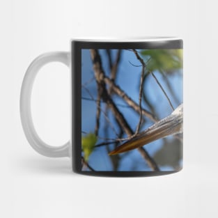 Blue Heron Portrait Mug